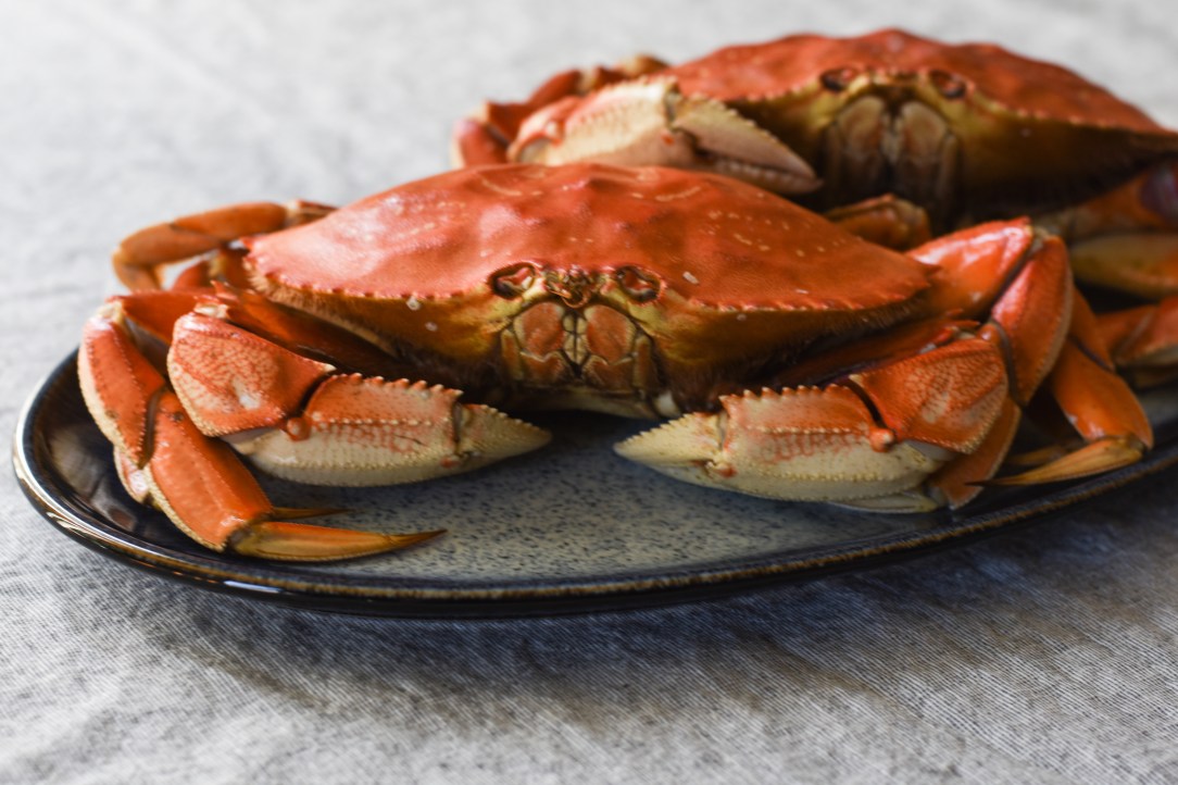 LRM_EXPORT_330914586076993_20200304_191637404